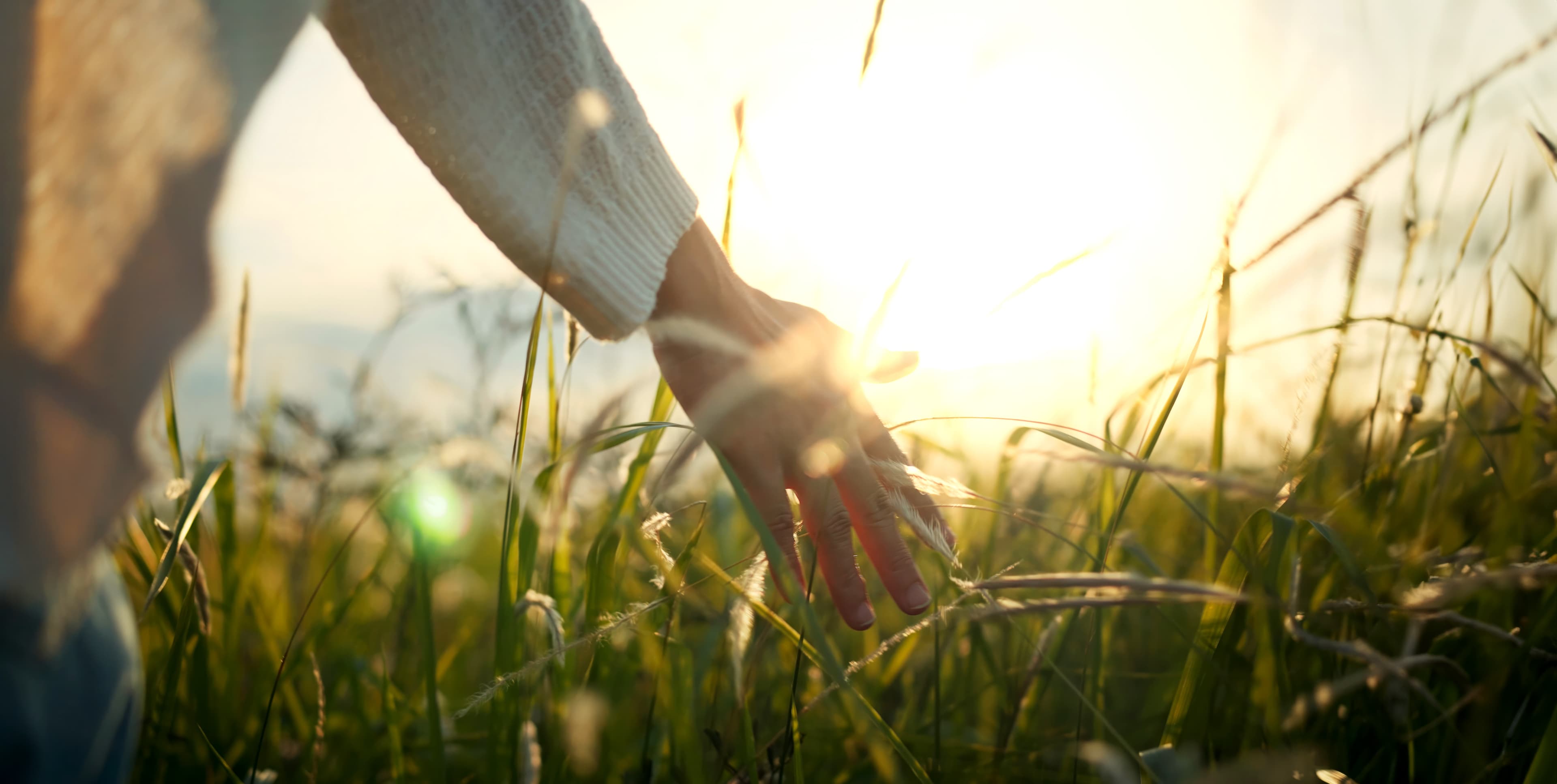 Hand brushing through tall grass in golden sunlight